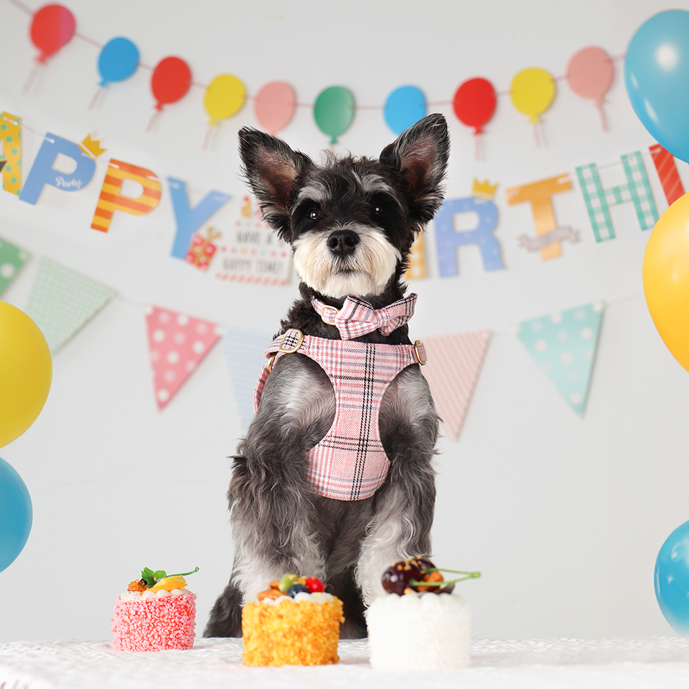 3pcs/set Dog Collar Harness le - Christmas Throw Blanket avaliação e preço